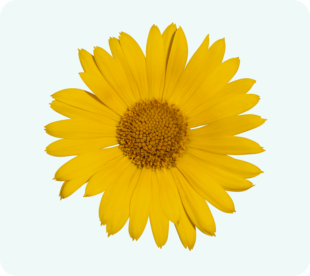 anti-inflammatory