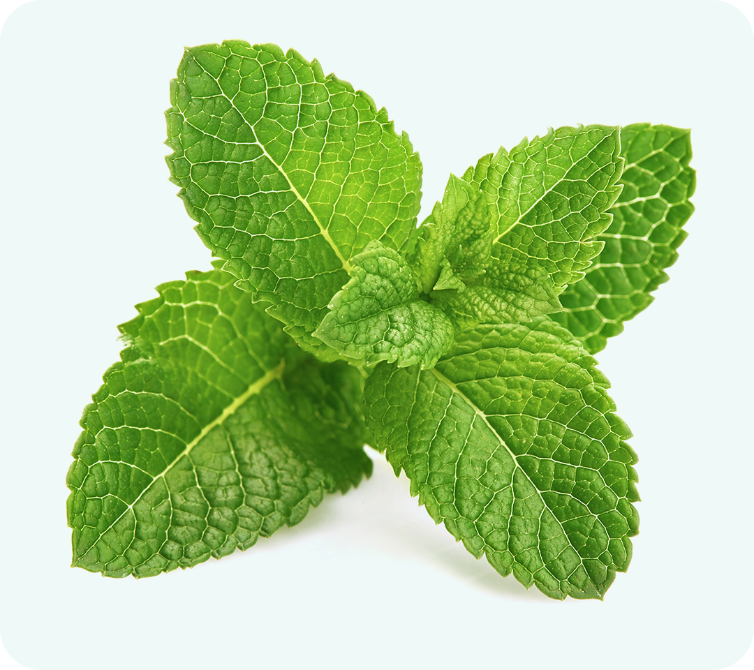 Menthol. creates cooling effect. analgesic provider pain relief